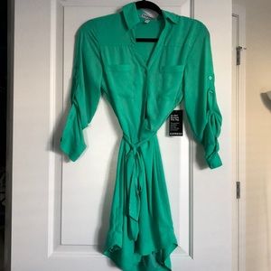 Express green portofino dress